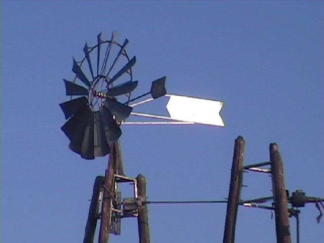 Festival Cerf-Volant de Dieppe - 2000