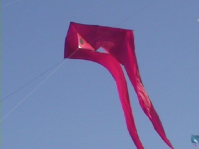 Festival Cerf-Volant de Dieppe - 2000