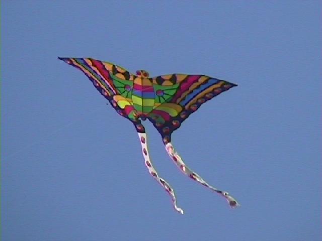 Festival Cerf-Volant de Dieppe - 2000
