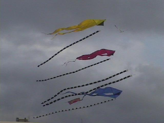 Festival Cerf-Volant de Dieppe - 2000