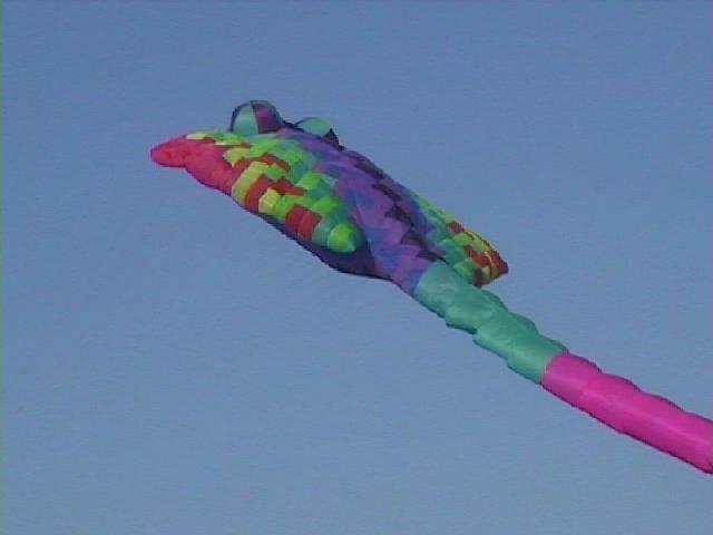 Festival Cerf-Volant de Dieppe - 2000