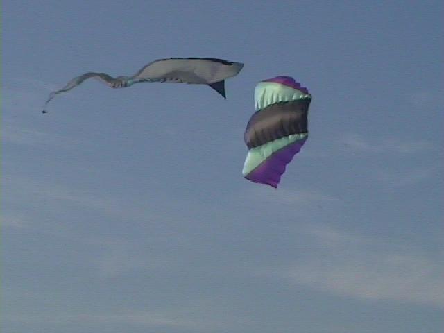 Festival Cerf-Volant de Dieppe - 2000