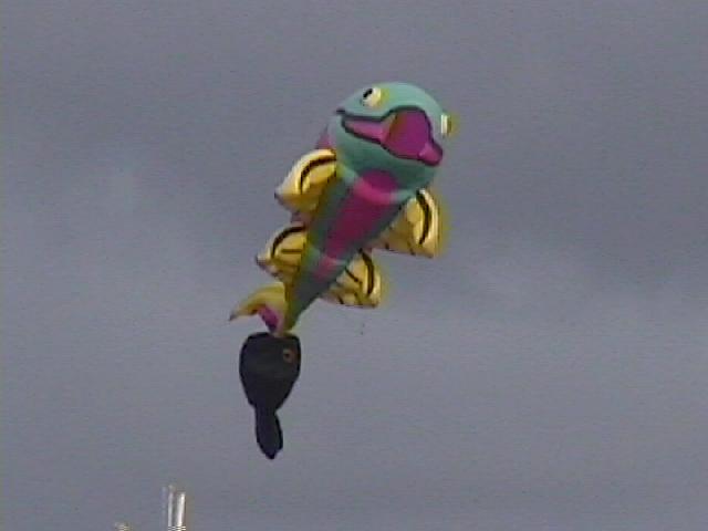 Festival Cerf-Volant de Dieppe - 2000